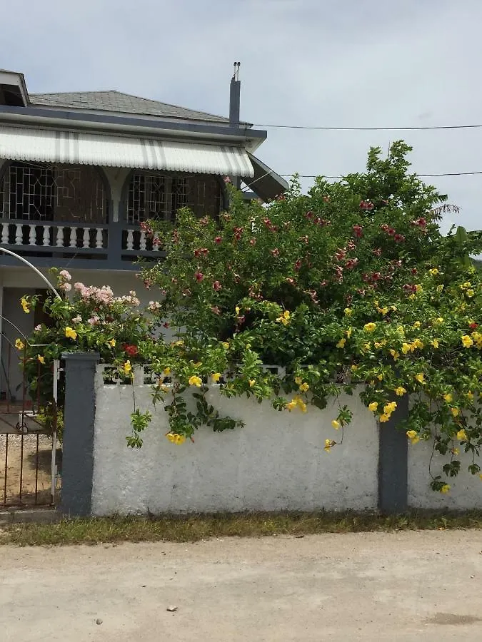 Couette-café Bed and Breakfast Ocean View Gem à Montego Bay Jamaïque